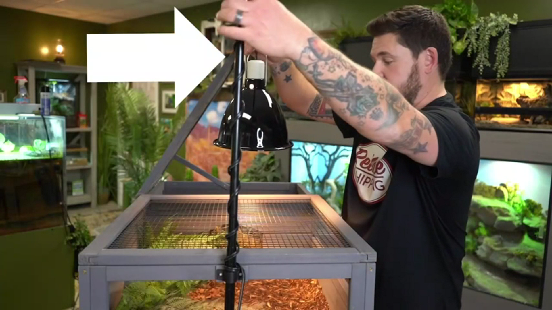 thumbnail video image 2 of Aivituvin Tortoise House Habitat Enclosure Turtle Cage for Small Animals, 2 of 10
